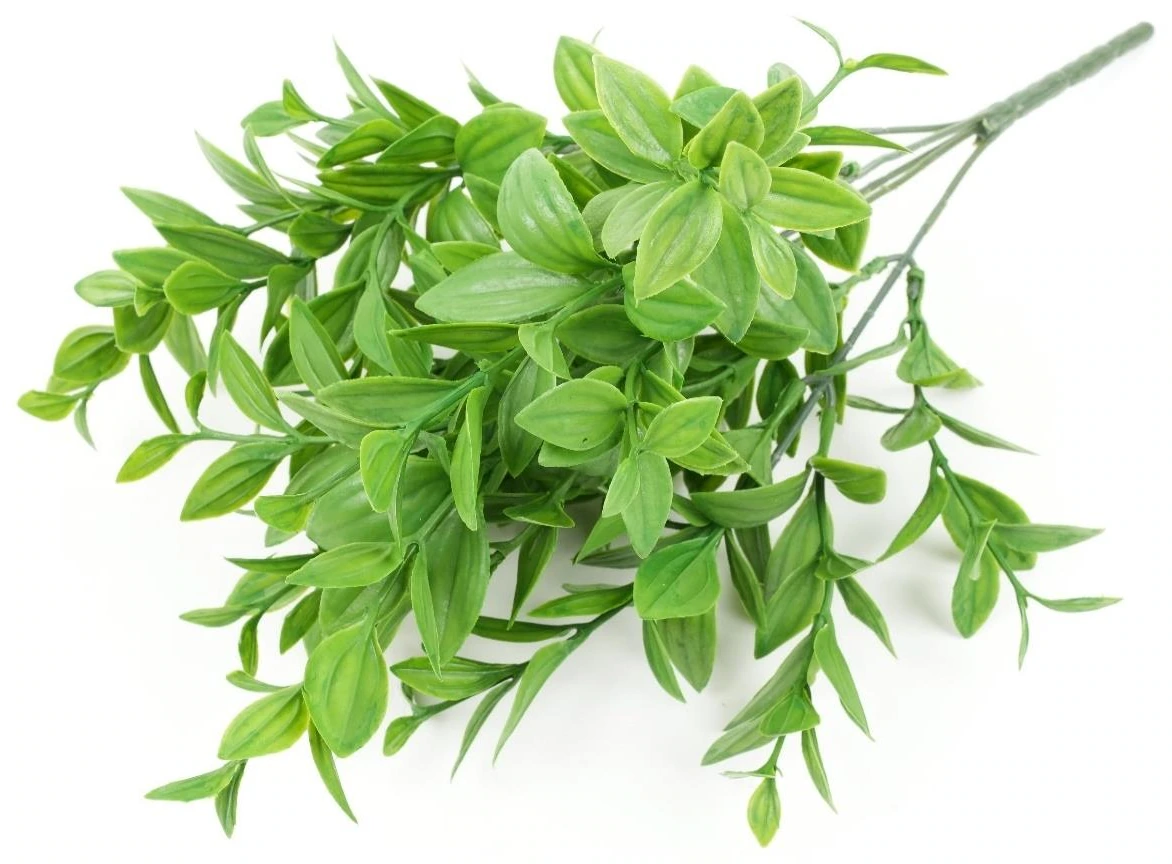 Grass Plant Leaves Bunch x5
